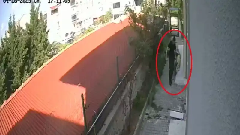 Veteriner Doktorun Köpekleri Parçalayarak Katlettiği Skandalı!