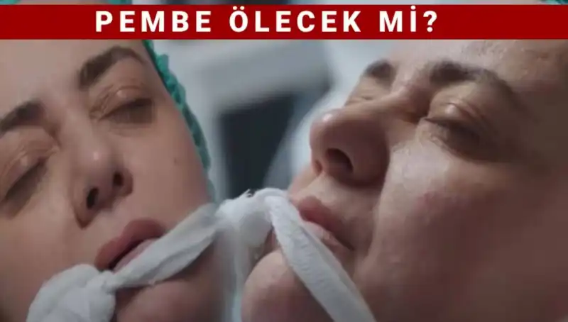 Sibel Taşçıoğlu'nun Pembe Karakterinden Ayrılma Nedeni Nedir?