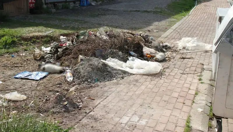 Antalya'da Kedi Katliamı: 10 Kedi Ölü Bulundu, İnceleme Başlatıldı!