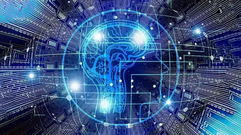 Kripto Dünyasında Şok Gelişme: Bot Sürüleri Dolandırıcılık için Tespit Edildi