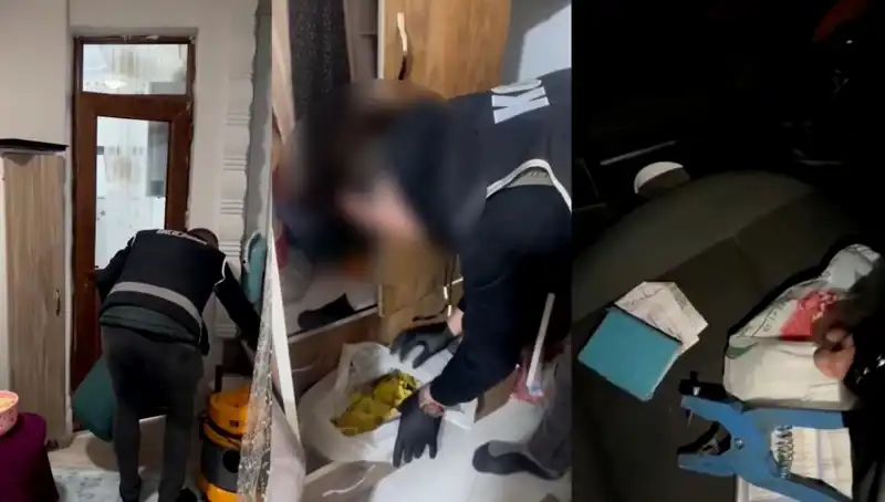 Hayvan Sevk Belgesi Usulsüzlüğü: Soruşturma İle Dokuz Kişi Gözaltına Alındı