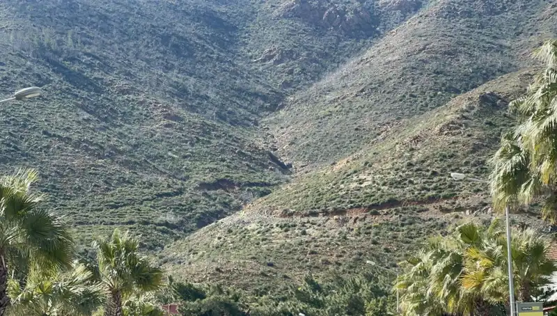 Marmaris'teki Yangından Kalan Alanlar Yeşerdi: Fidanlar Boy Verdi
