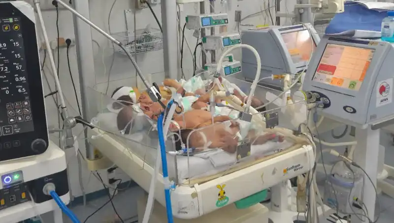 Gazze'deki Doktorların İsyanı: Kuvözlerde Birden Fazla Bebek Hayat Mücadelesi Veriyor
