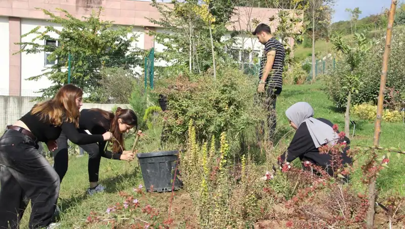 Düzce'nin Yıldızı Parlıyor: Hayalleri Gerçekleştiren Başarı Hikayesi