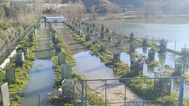 Irmak Taşmasıyla Otoyol Şantiyesi Su Altında Kaldı: Felaketin Ardındaki Sebepler