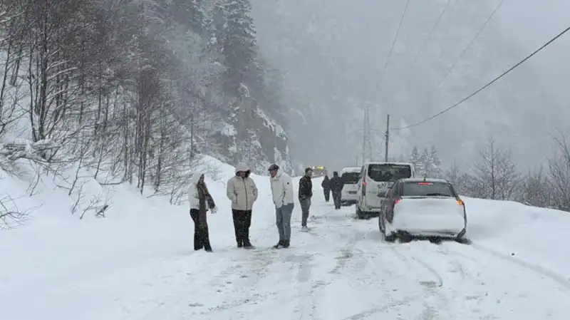 Trabzon'da Heyecan Verici Olay: Çığ Düşmesi Karayolunu Kapladı