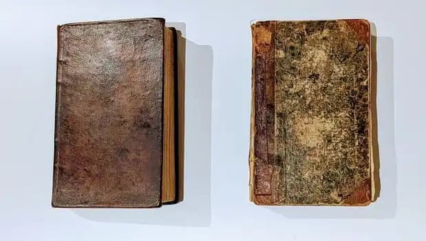 200 Yıllık Gizem: Katil Derisiyle Ciltlenmiş Kitap Müzede Keşfedildi