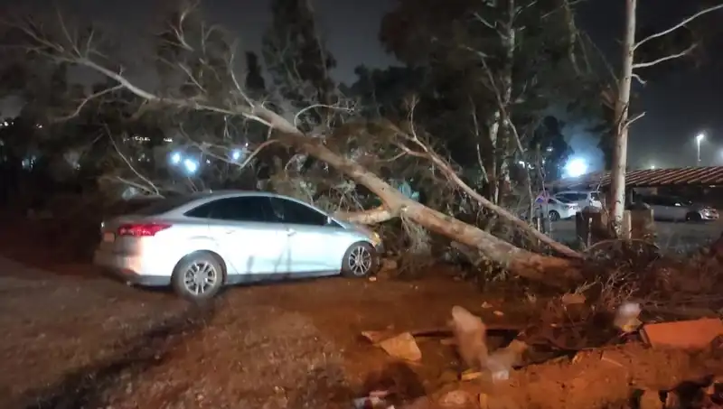 Hatay'da Fırtına Felaketi: Tekneler Alabora Oldu, Ağaçlar Devrildi