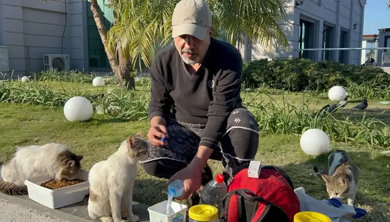59 Yaşındaki Adamın Eşsiz Merhameti: Günde 8 Kilometre Yürüyor