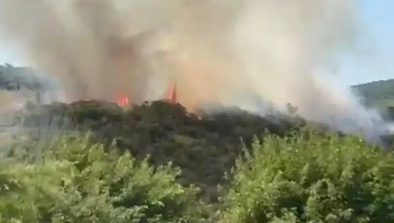 İstanbul Orman Yangını: Vatandaşlar Acil Tahliye Edildi!