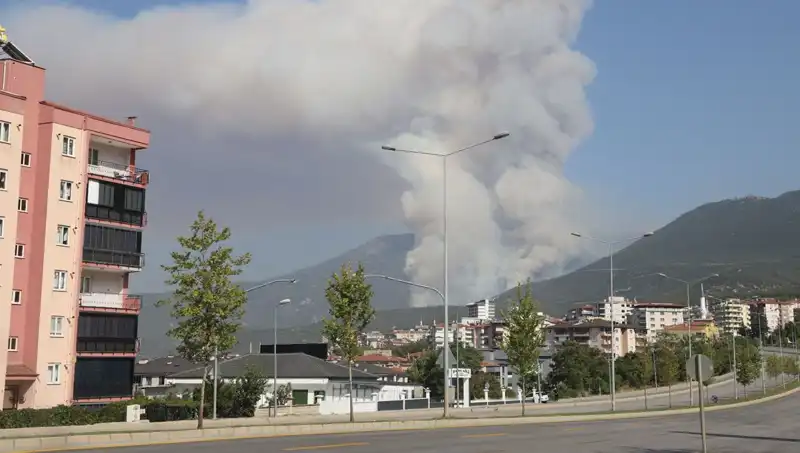 Denizli’deki Orman Yangınıyla İlgili Şüpheli Gözaltına Alındı