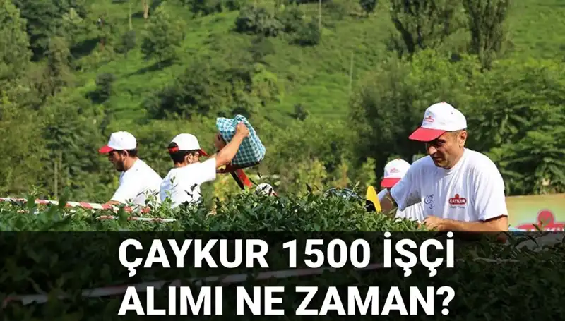 Çaykur İşçi Alımı Başvuru Tarihleri Açıklandı: Fırsatı Kaçırmayın!