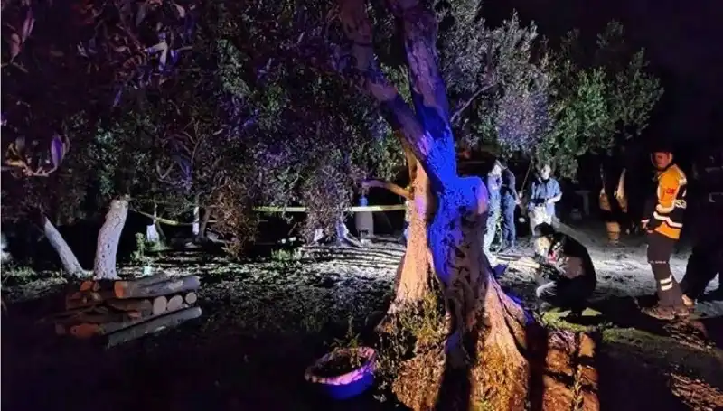 Çiftlikteki Baltalı Vahşet: Şok Edici Olayda Bir Kişi Tutuklandı