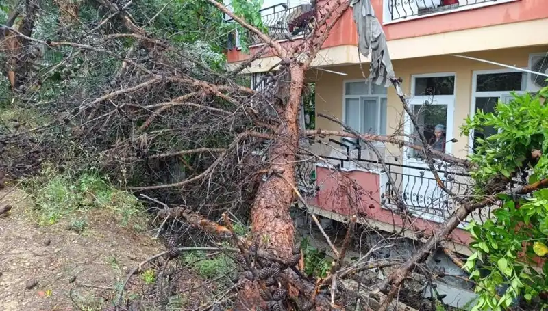 Yağmura Dayanamadı, Dev Kule Bina Üzerine Devrildi!