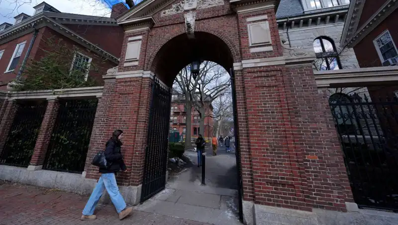 Harvard Profesörleri Trump Yönetimine Karşı Dava Açarak Adaleti Savunuyor