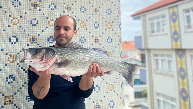 7.5 Kiloluk Dev Levrek, Balıkçılar Arasında Rekor Kırdı