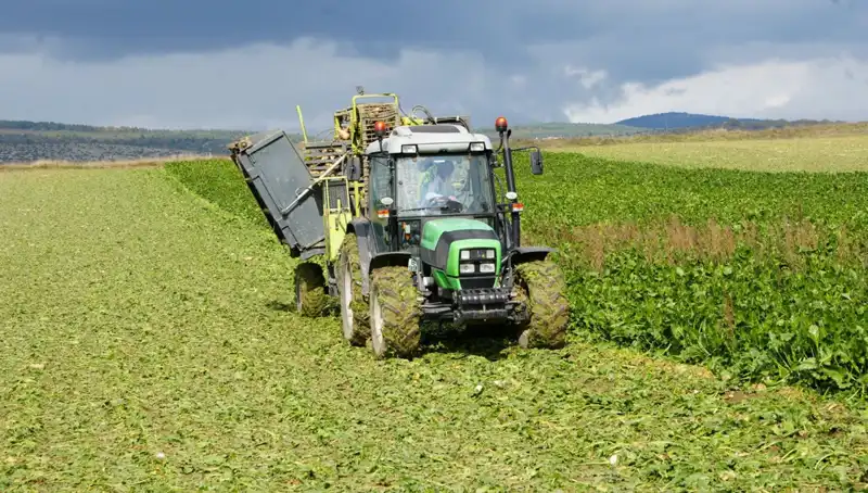 Kastamonu’da Pancar Hasadı İçin Geri Sayım Başladı!