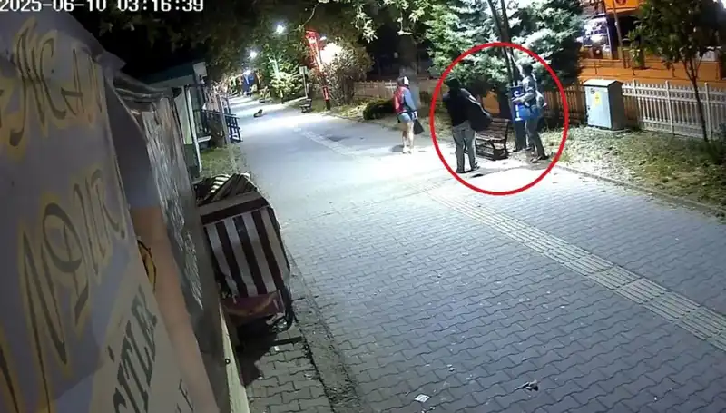 Aydınlatma Direklerindeki LED Işıkları Söküldü: Şehir Ekonomisine 300 Bin TL Zarar!