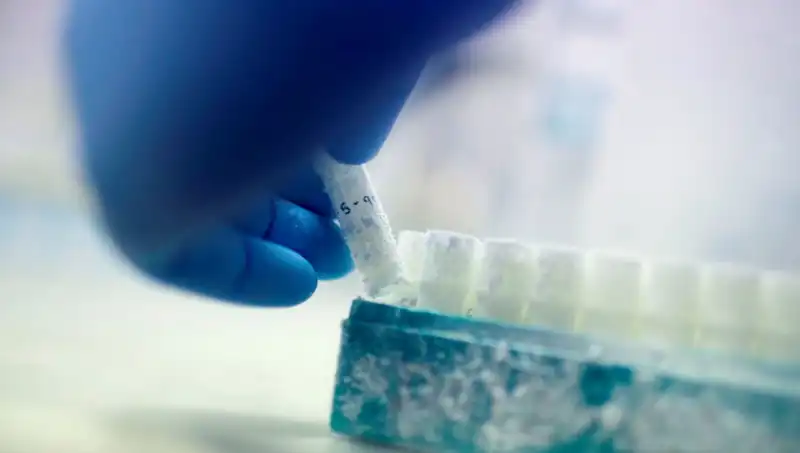 Tıbbi Felaket: 85 Sperm Donörü ile Doğan Binlerce Çocuğun Hikayesi