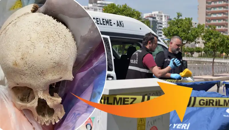 Sitenin Çöpünden Kafatası Bulundu: Uzman Doktora Gözaltı Şoku!