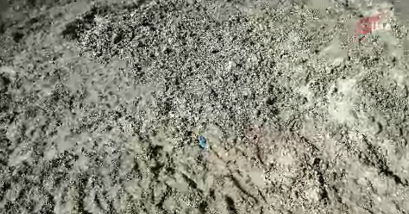 İstanbul'da Kayıp Çinli İş Adamının Korkunç Cinayeti: Toprağa Gömmüşler