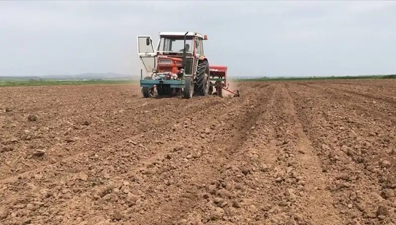 Son 35 Yılın Kurak Mart Ayı: Yağış Miktarı Yüzde 59 Azaldı!