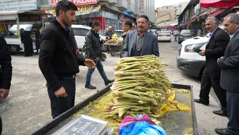Dağlık Alanların Gizemli Şekeri: Kanser ve Mide Hastalıklarına İyi Gelen Doğal Bir Mucize
