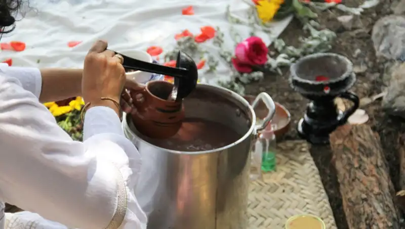 Ayahuasca: Yasaklı Şifalı Bir Çay mı, Yoksa Doğanın Hediye Edilen Bir Mucizesi mi?